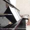 عکس پیانو زدن من (٢)