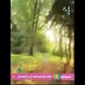 عکس علیرضا افتخاری.ترانه ی ( قدح ) آلبوم تو می آیی