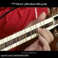 عکس بداهه نوازی در آواز بیات اصفهان-تکنوازی تار