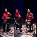 عکس کنسرت موسیقی کوردی حسین صفامنش در تالار وحدت تهران.