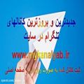 عکس بهنام بانی چه بخوای چه نخوای