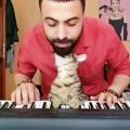 عکس نوازندگی سارپر دومان اهل ترکیه به همراه با گربه اش