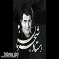 عکس بزم خصوصی شوشتری بخش اول استاد محمدرضا شجریان و زنده یاد حبیب الله بدیعی - غزلی از حافظ - صوتی
