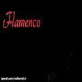 عکس Adam Ben Ezra - Flamenco - Solo Bass (2013)