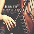 عکس معرفی وی اس تی Ultimate Pro Oriental Strings