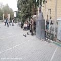 عکس اجرای اهنگ آرام در تهران