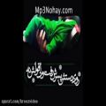 عکس مداحی و نوحه جدید بسیار زیبا علی حسین خانی بنام یه گوشه خرابه طفلی میون خرابه
