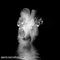 عکس ♪ بوی باران از محمد اصفهانی ♪ ♫