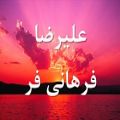 عکس علیرضا فرهانی فر