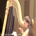 عکس تکنوازی چنگ . (harp solo)