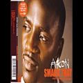 عکس آهنگ بسیار زیبای (Smack That) از (Akon) به همراهی (Eminem)