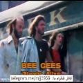 عکس مشهور ترین موزیک ویدیو دهه 70 میلادی Bee Gees - Stayin_