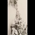 عکس سیروان خسروی و اولین برف