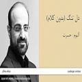 عکس دل تنگ (بدون کلام) - آلبوم حسرت - محمد اصفهانی