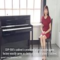 عکس توضیحاتی در مورد پیانوی دیجیتال دایناتون SDP-500