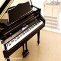 عکس نوازندگی خودکار پیانو دیجیتال دایناتون مدل VGP3000