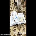عکس SubhanAllah! ┇ Cat Will Not Walk on The Quran ***MIRACLE***