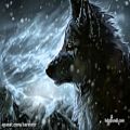 عکس Most Epic Music Ever: The Wolf And The Moon by BrunuhVille