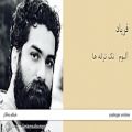 عکس فریاد - آلبوم تک ترانه ها - علی زند وکیلی