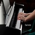 عکس تست صدا و معرفی پیانو دیجیتال Yamaha YDP-103