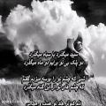 عکس Salar Aghili - Sepid Ya Siah(with lyrics)سالار عقیلی - سپید یا سیاه