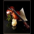 عکس violin