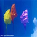 عکس Balloons and underwater shockwaves....