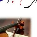 عکس ویولن -بداهه نوازی فوق العاده زیبا در مایه شور