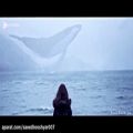 عکس تنهاتر از تنهایی:کلیپ شاهکار نهنگ تنها iday - whale