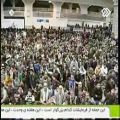 عکس اجرای آهنگ محمد (ص) در مصلی توسط حامد زمانی