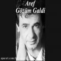 عکس Aref - Gözüm Galdi www.azeribalasi.com