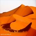 عکس موسیقی زیبای حماسی فولکلور Ancient Arabian Cobra Desert
