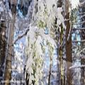 عکس موسیقی آرامش بخش با تصاویر زیبای برفی