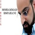 عکس شکایت هجران محمد اصفهانی با موسیقی زیبای استاد بابک بیات