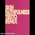 عکس Skin - Faithfulness (Tiesto Instrumental Mix)