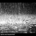 عکس دکلمه در آشیانه ی باران با صدای محمد احمدی