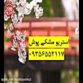 عکس Stanbuli 10 آهنگ استانبولی کمیاب (استریو مشکی پوش