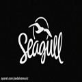 عکس گیتار آکوستیک Seagull مدل Entourage Autumn Burst