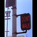 عکس Green Day - Walking Contradiction