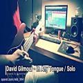عکس David Gilmour - In Any Tongue Solo