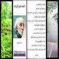 عکس دکلمه زیبای شعر معروف «داروگ» نیما یوشیج