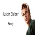 عکس آهنگ Sorry با صدای Justin Bieber