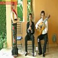عکس Juan Martin Essential Flamenco Guitar Vol.2 Intro