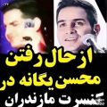 عکس از حال رفتن محسن یگانه در کنسرت مازندران