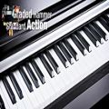 عکس معرفی پیانو یاماها YDP 142