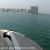 عکس تفریحات لاکچری آرش و رامین رضائیان در قایق تفریحی دبی