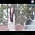 عکس ❤ میکس عاشقانه سریال کره ای رئیس حساس با آهنگ غمگین ❤
