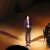 عکس سناتور چاک شومر در کنسرت استاد شهرام ناظری و حافظ ناظری