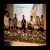 عکس گروه موسیقی دبیرستان ناصریان در افتتاحیه چهل وهشتمین جشنواره بین المللی فیلم رشد