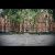 عکس موزیک ویدیوی Adam Eve از Nas سمپل از کوروش یغمایی